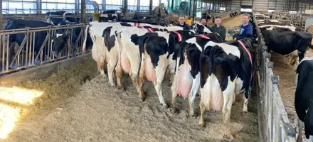 Articleentry Madspedersen