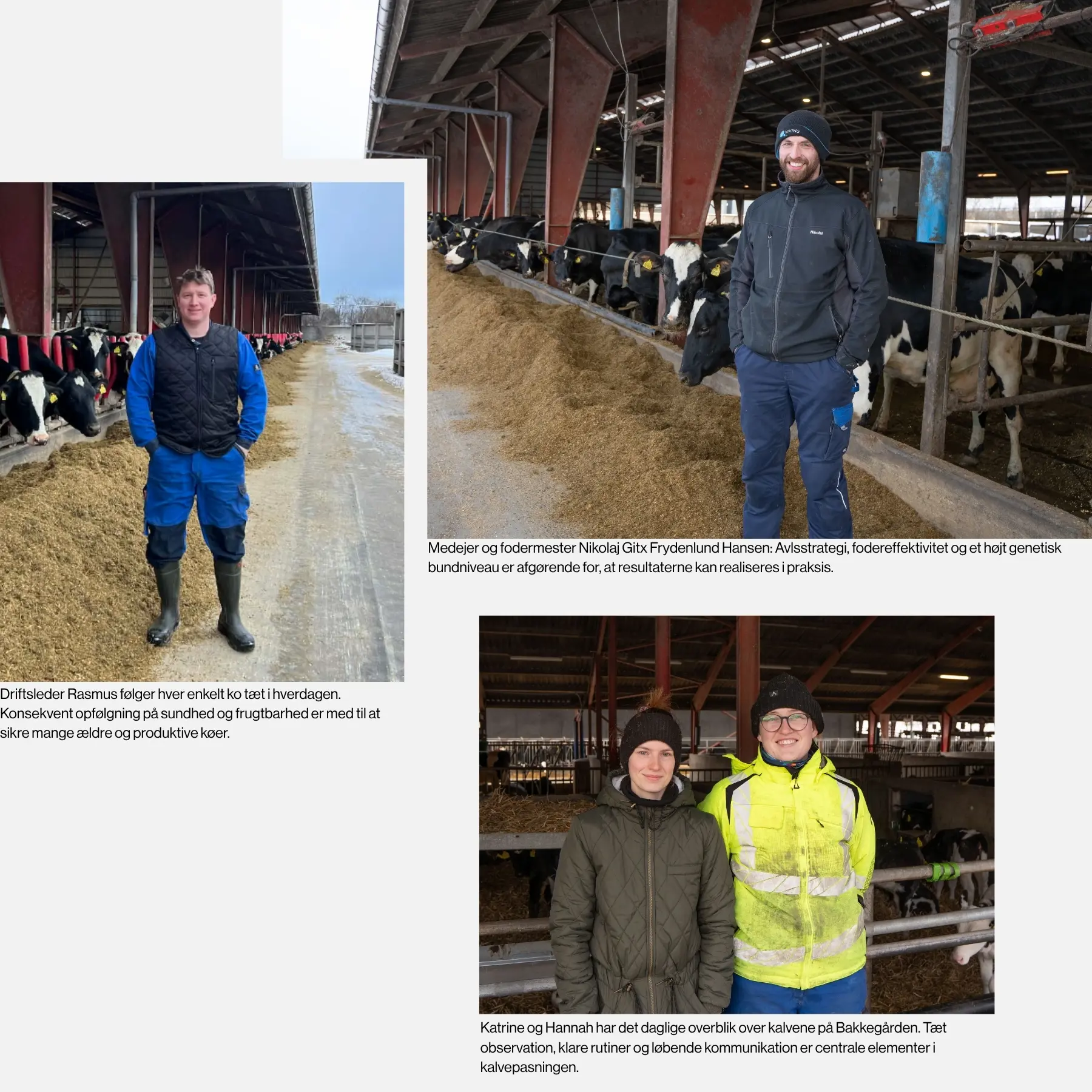 Medarbejdere På Bakkegården (1)