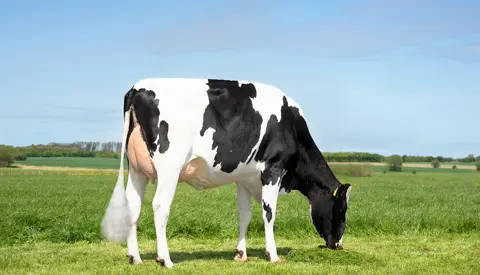 Vh Crown Daughter No 50675 11920 From Mads Stokholm Ribe Scenic1a