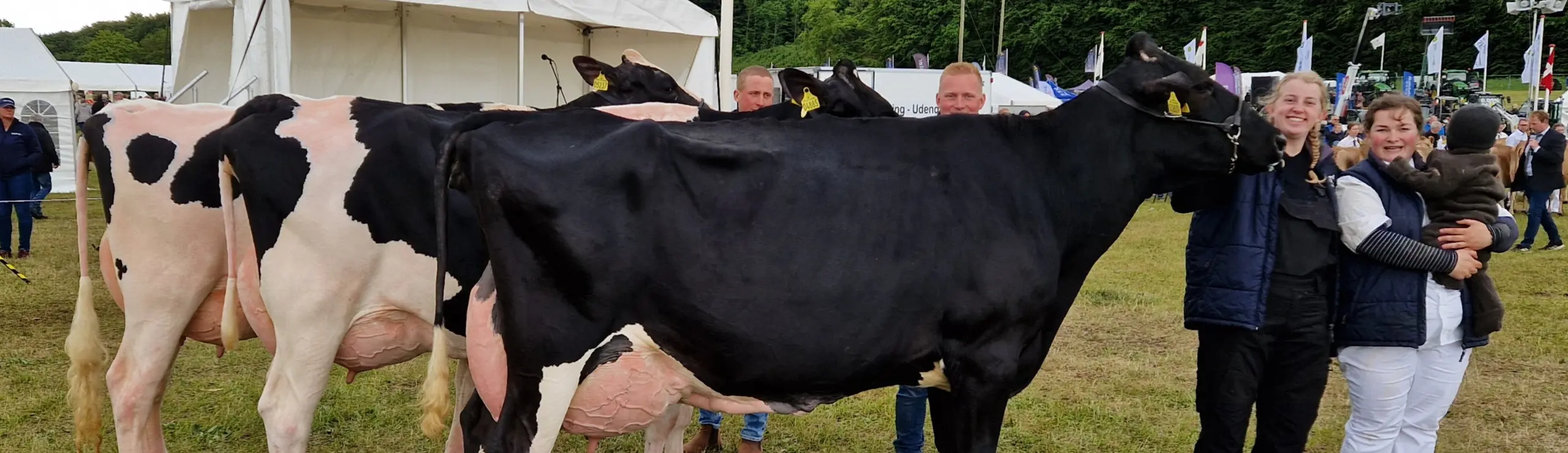 Vinder Af GL Estrup Prisen M.M., Fra Frøholm, Ørsted