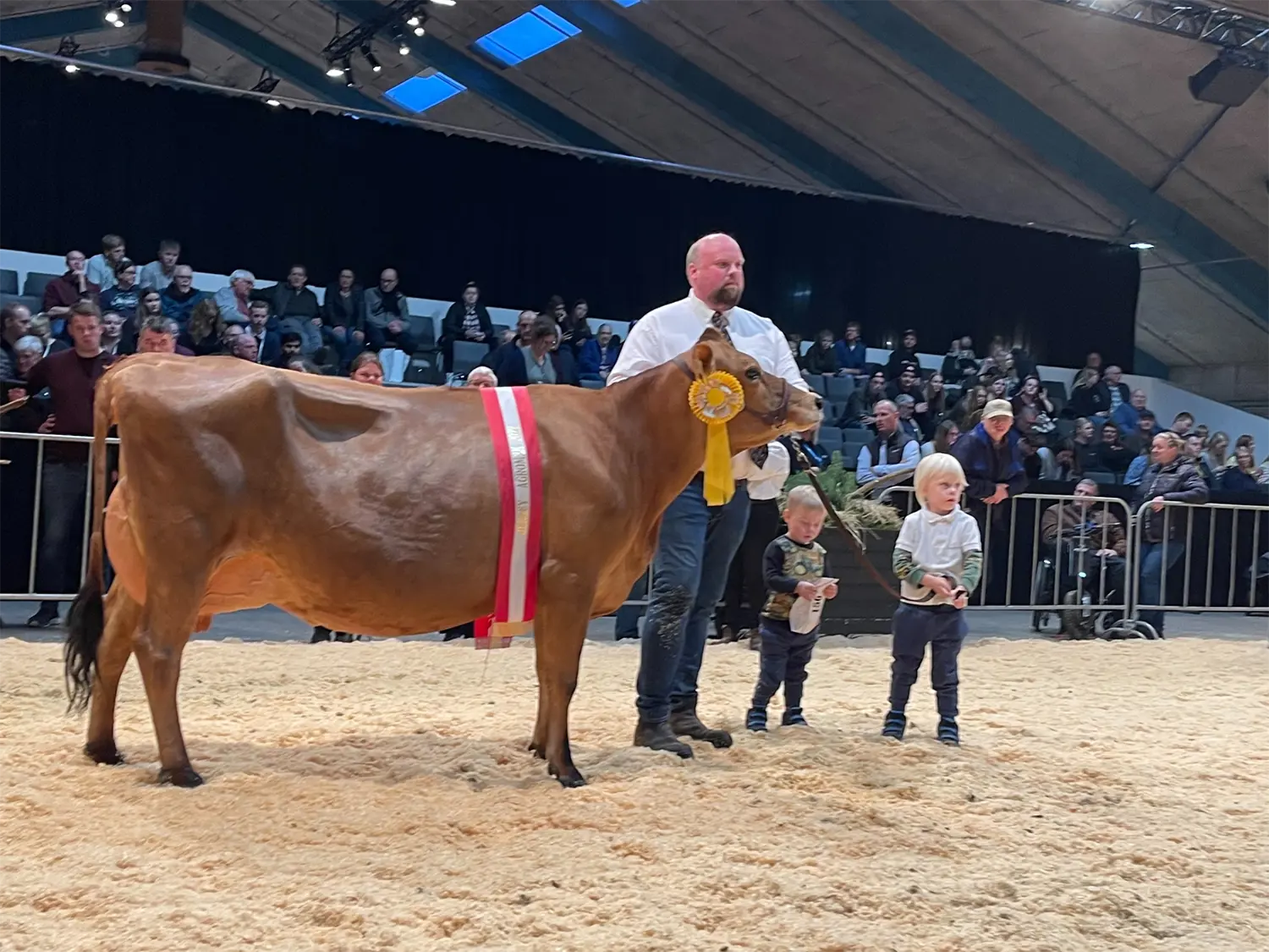 Untitled Design 97 1