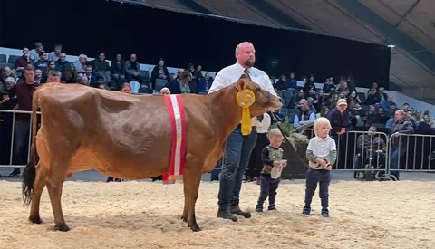 Untitled Design 97 1