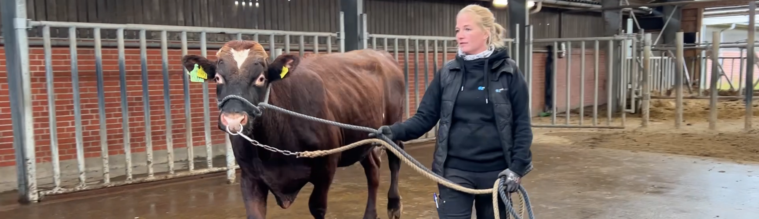 VR Flipper Med Terese På Vikinggenetics