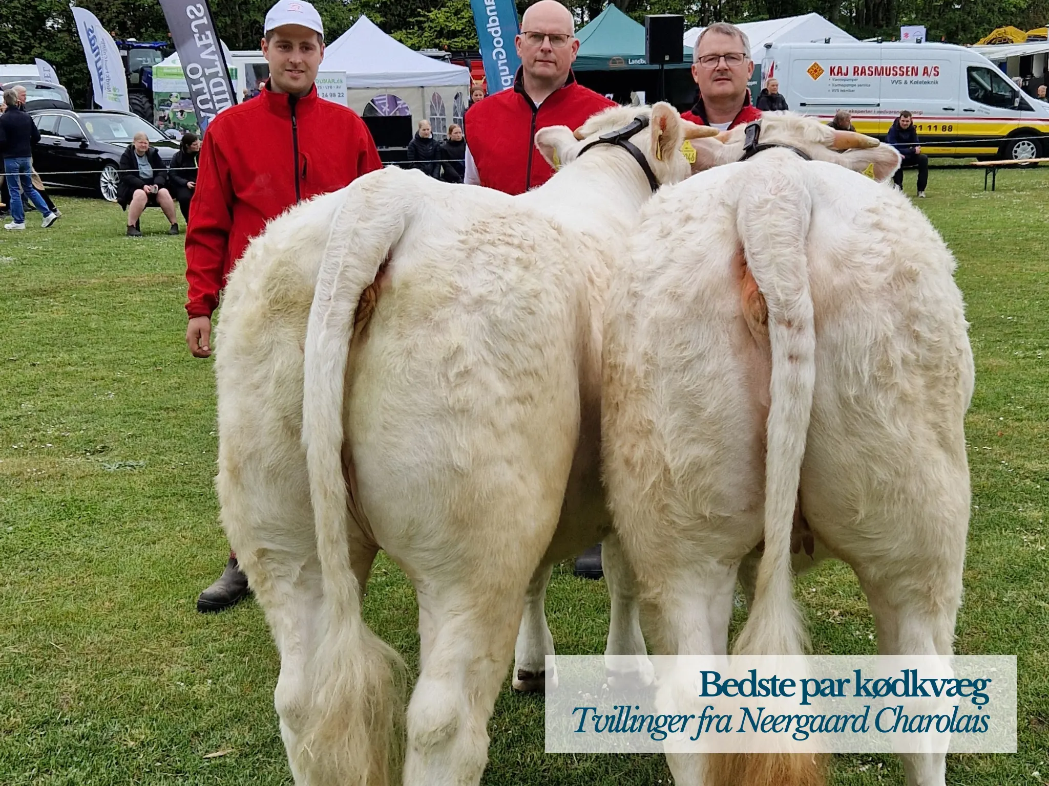 Bedste Par Kødkvæg