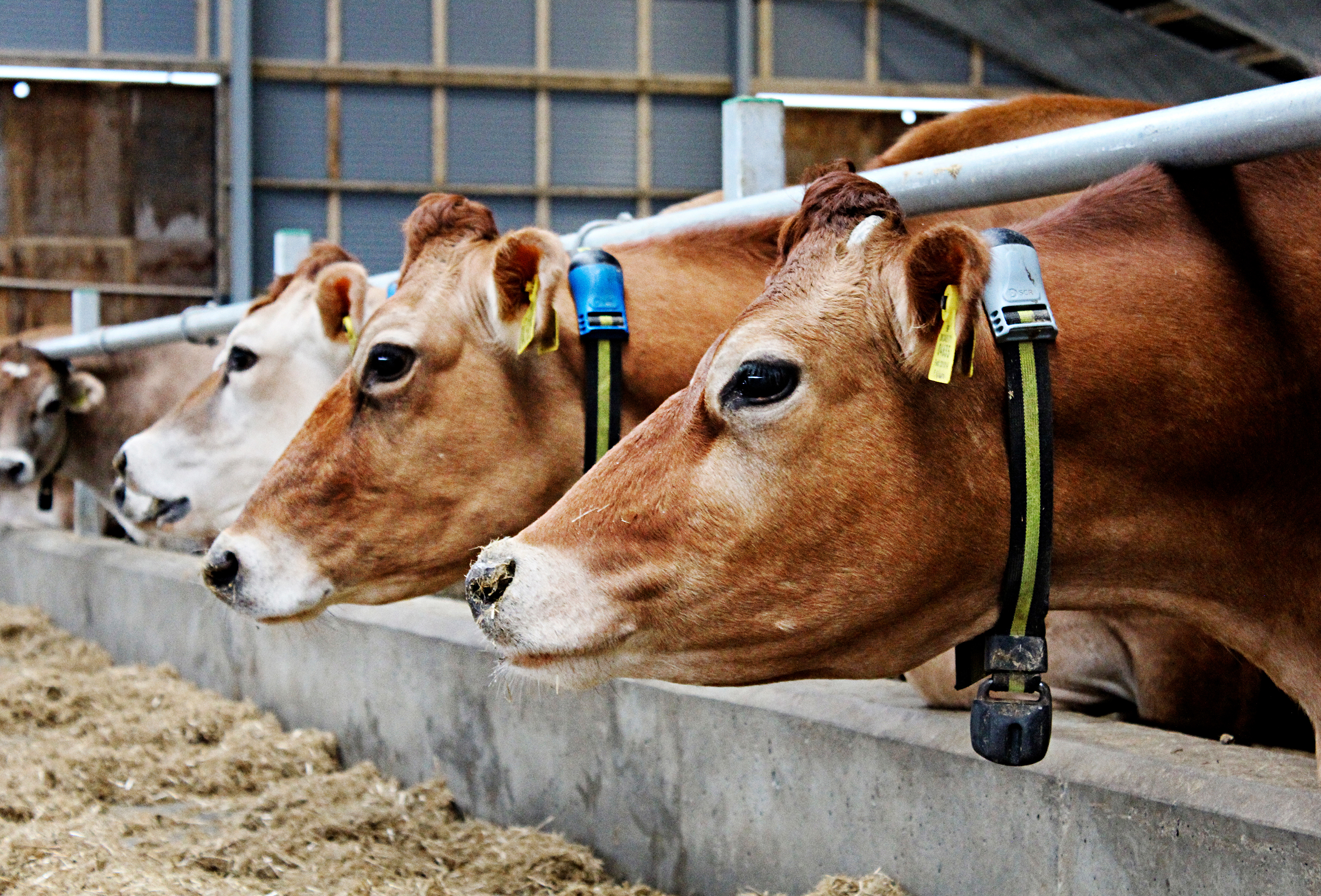 Kontakt Teamet Img 4794 Vn Srgb Web