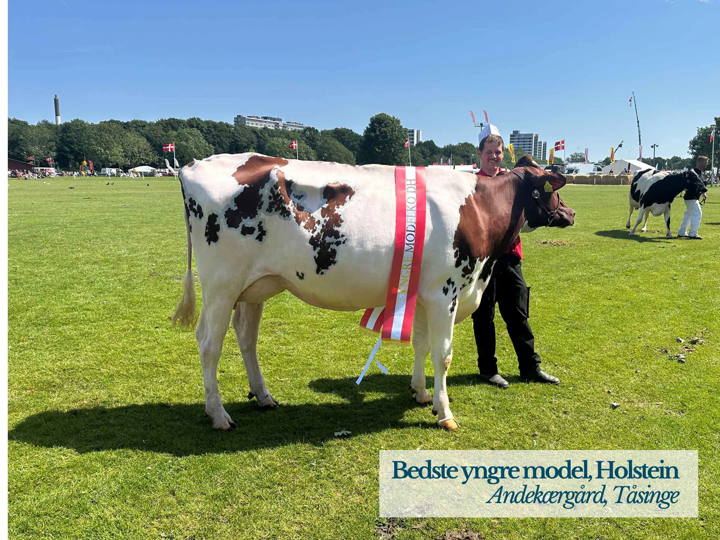 Holstein Yngre Model, Andekærgård, Tåsinge