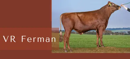 ARTICLE ENTRY TYR (12)