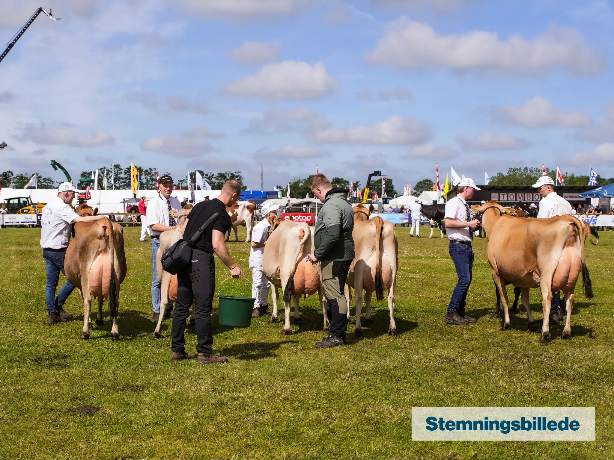 Stemningsbillede