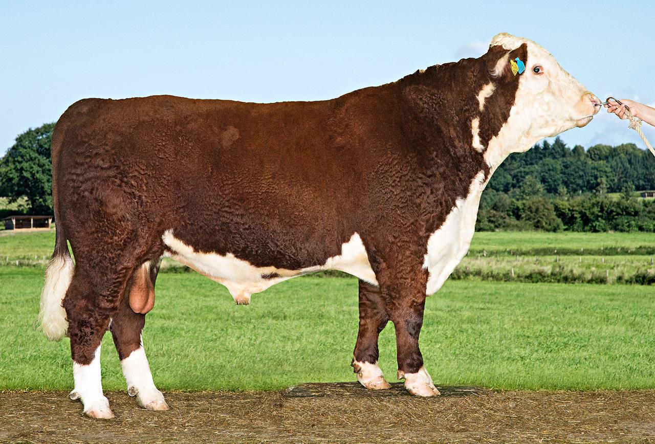 Vb Excellent 7144 Srgb Web