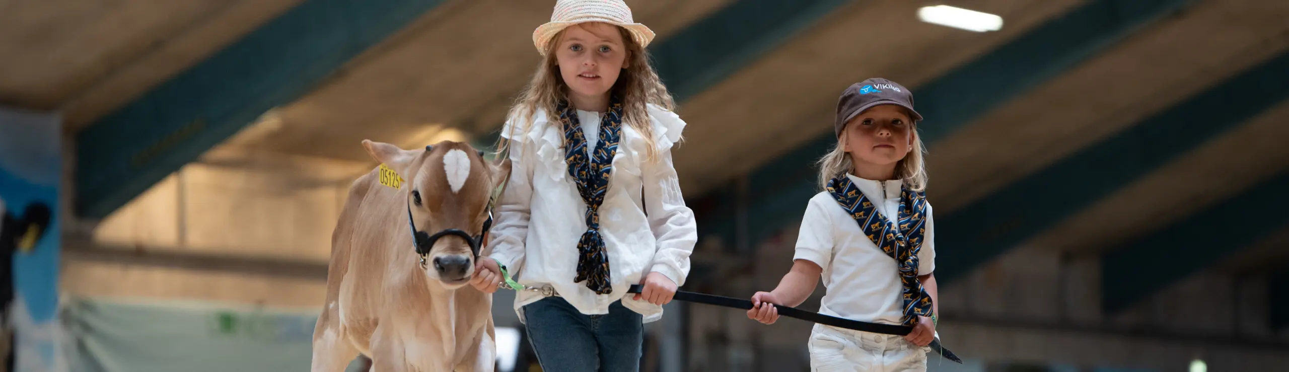 Stemningsbillede Fra Landsskuet 2025