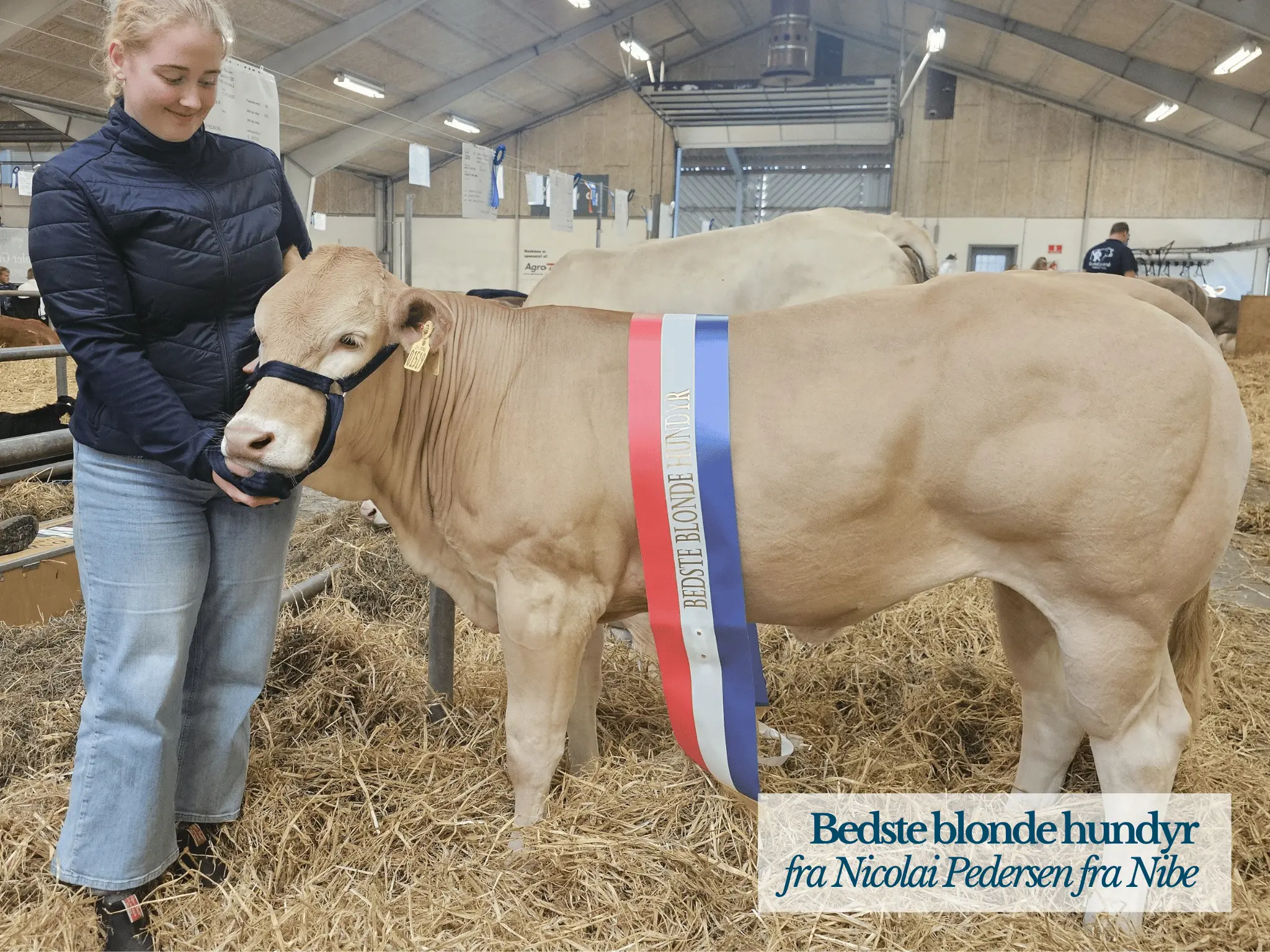 Bedste Blonde Handyr