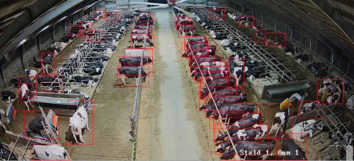 Entry Køernes Liggetid