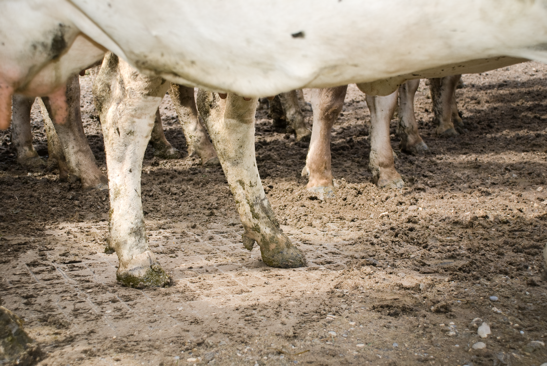 Ridcon Progrid System 27