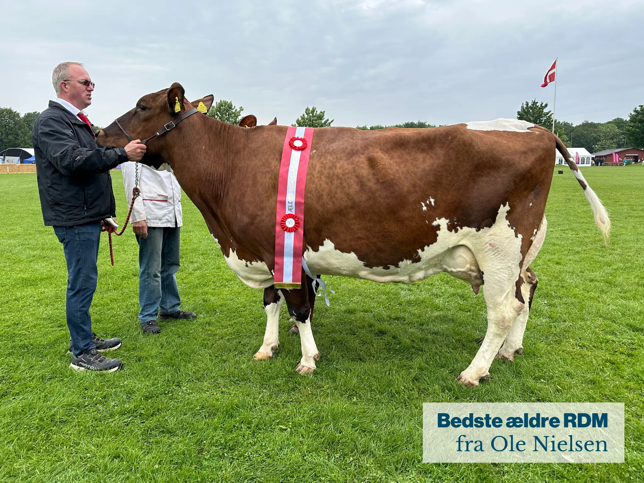 Bedste Ærdre RDM Fra Ole Nielsen