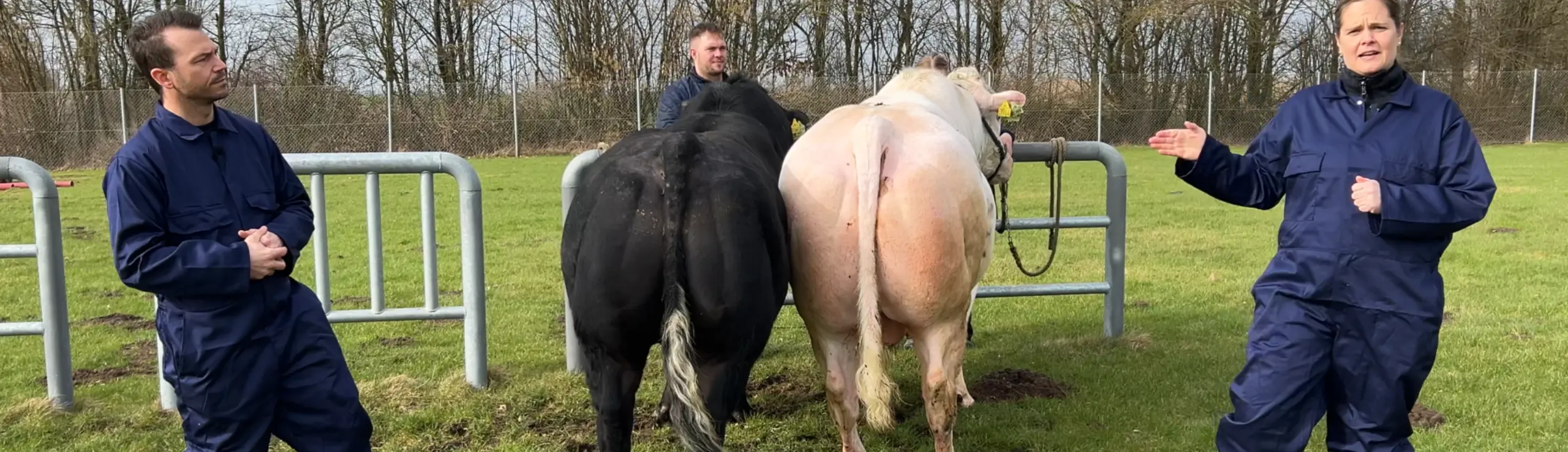 VB Sumo Og VB Picasso Er De Blandt De Første Tyre, Der Er Blevet Beregnet Med De Nye Indekser