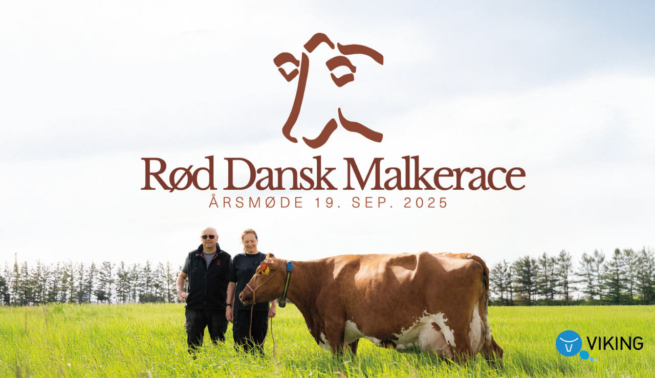 Forsiden Af Rdms Årsberetning 2025