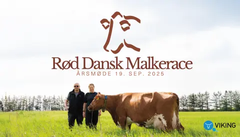 Forsiden Af Rdms Årsberetning 2025