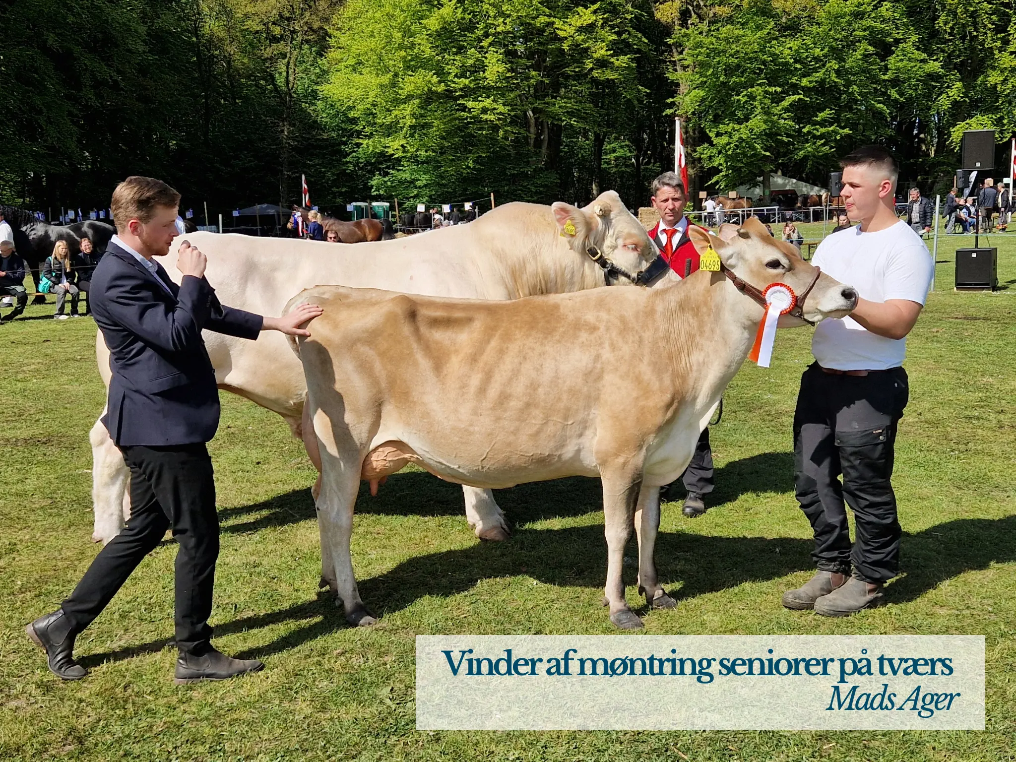 Vinder Af Mønstring Seniorer På Tværs