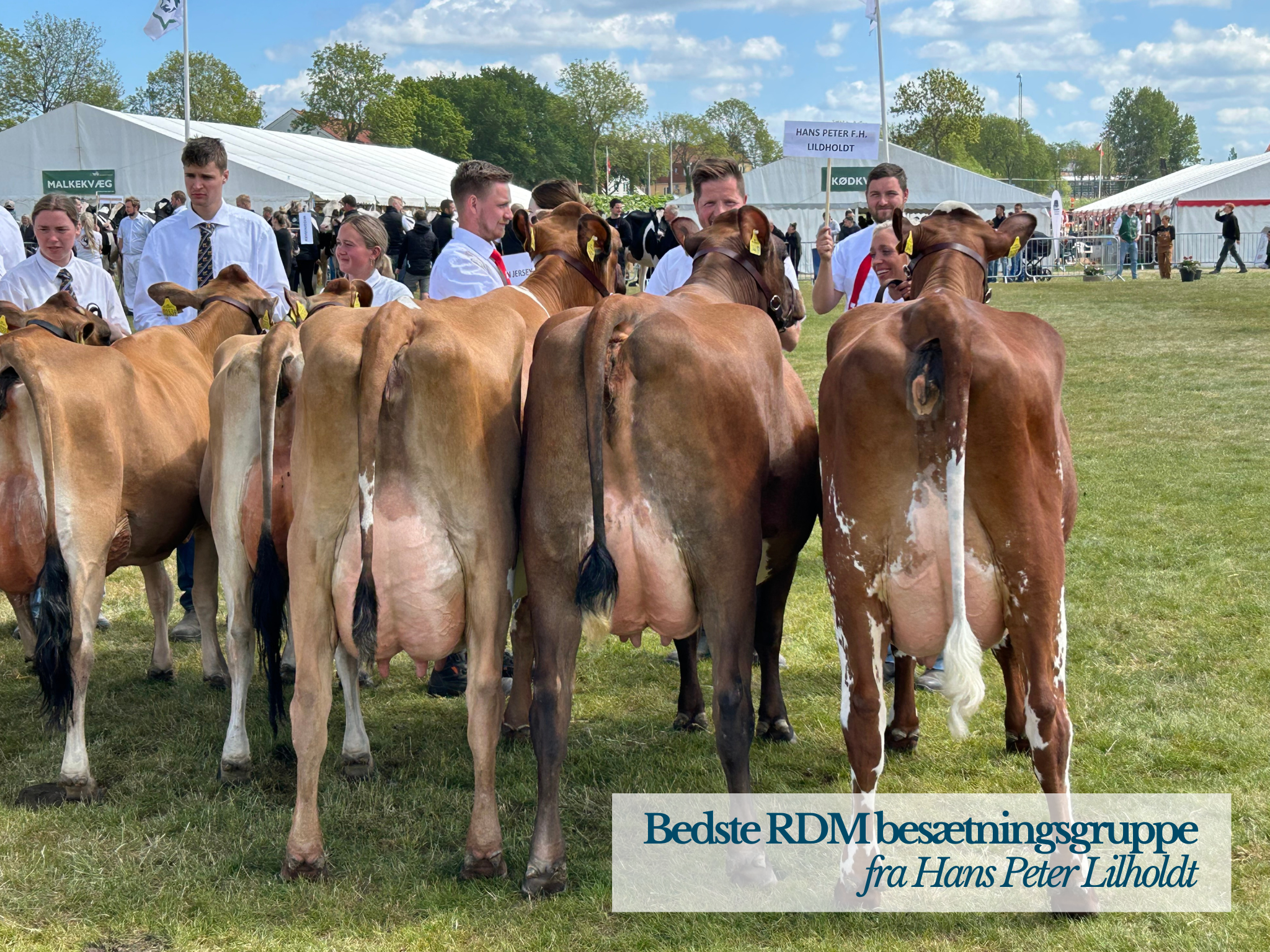 Bedste RDM Besætningsgruppe