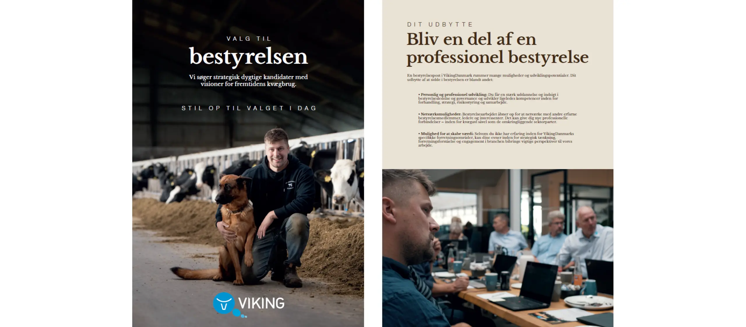 Udklip Fra Bestyrelsesfolderen