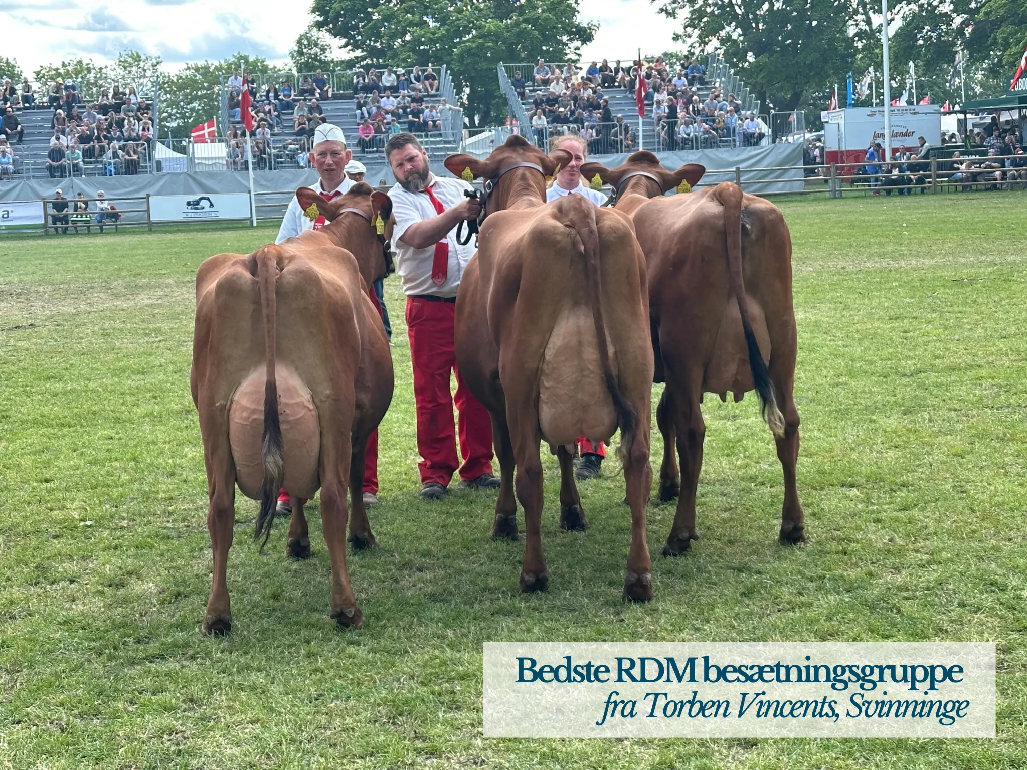 Bedste RDM Besætningsgruppe