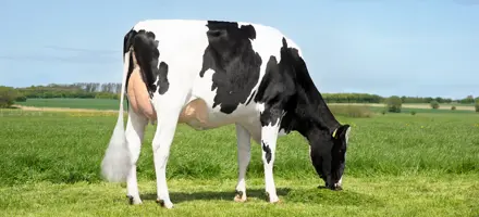 Untitled Design 2023 01 26T143847.720