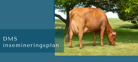 ARTICLE ENTRY TYR (3)