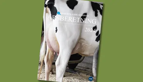 Billede Af Forsiden Af Årsberetningen 2024 (1)