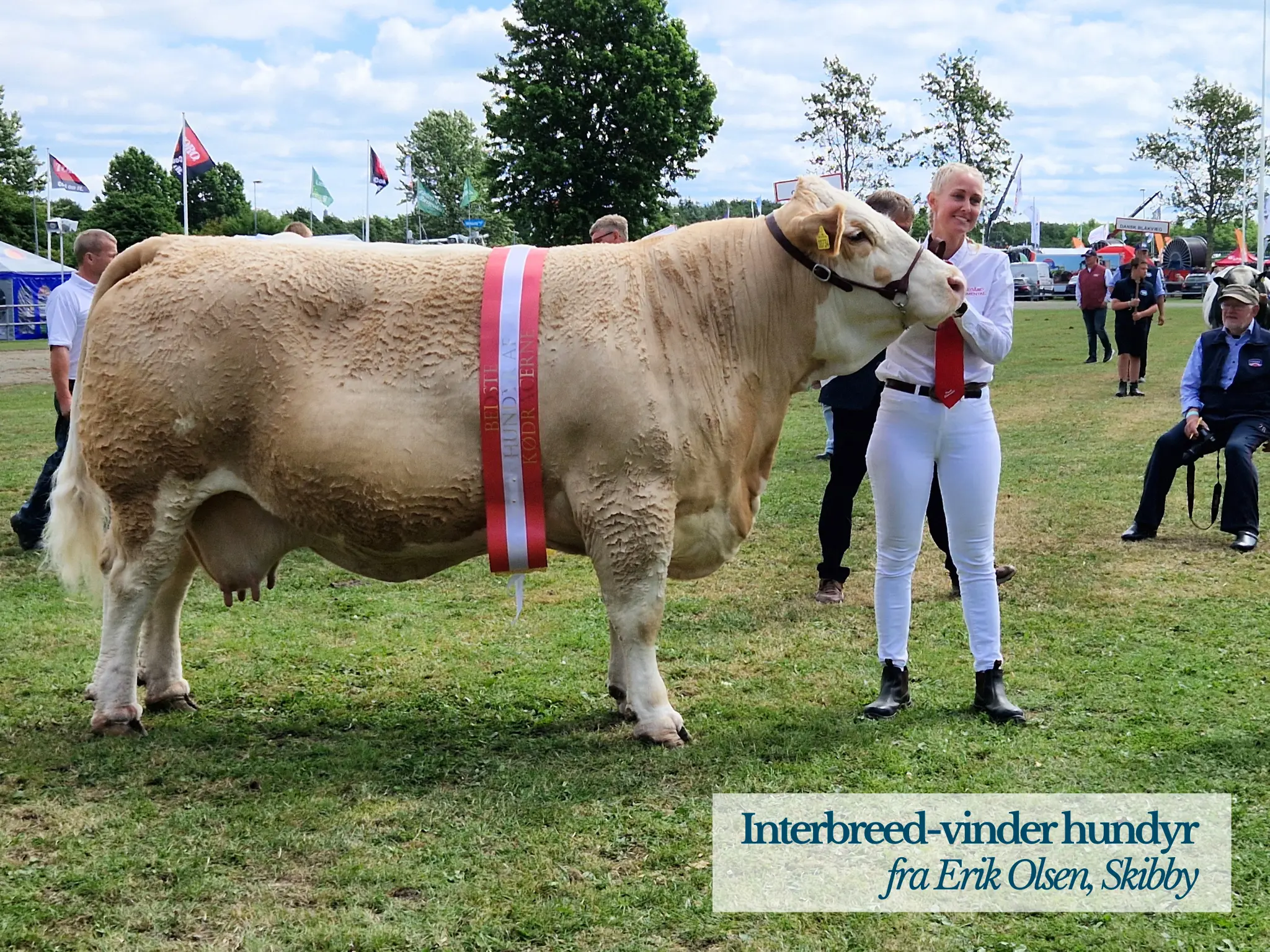 Interbreed Vinder Hundyr På Landskuet 2026