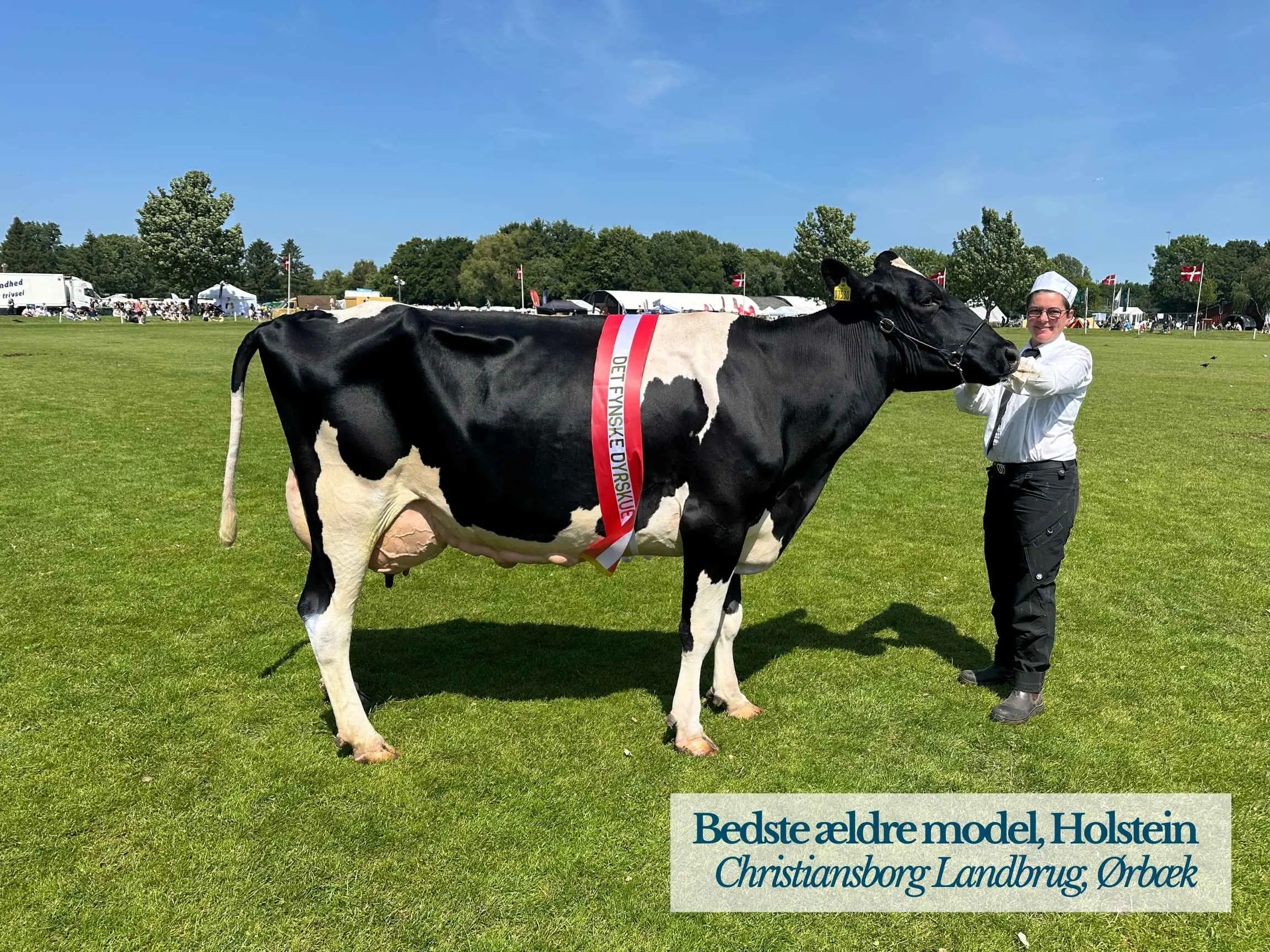 Holstein Ældre Model, Christiansborg Landbrug, Ørbæk