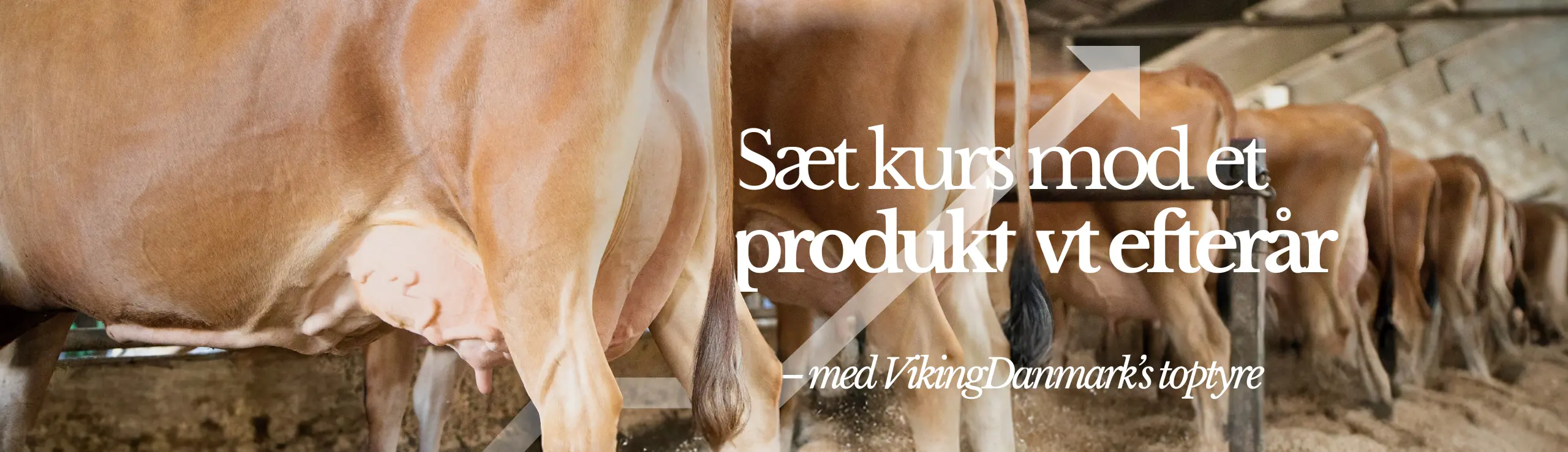 Sæt Kurs Mod Et Produktivt Efterår