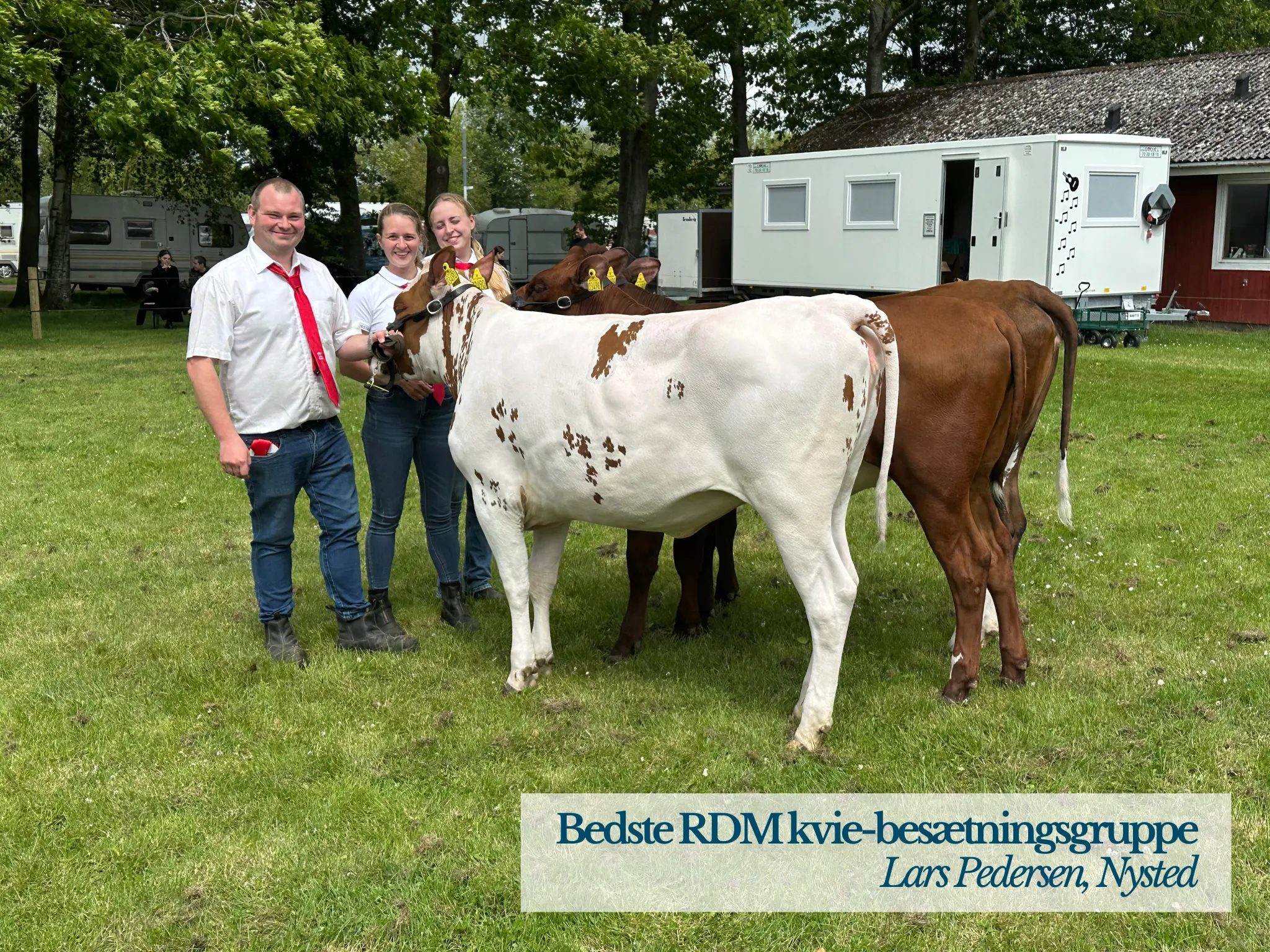 Bedste RDM Kvie Besætningsgruppe