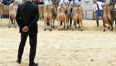 Dommer Peter Larson1