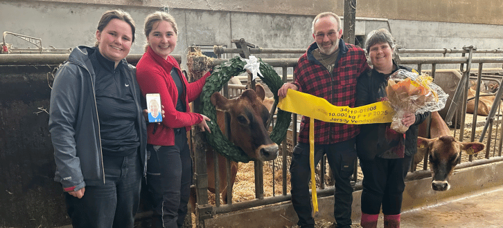 Ko Nr. 1908 Hos Tjerk Veenstra Hædret For 10.000 Kg Fedt Og Protein På Bedste Maner