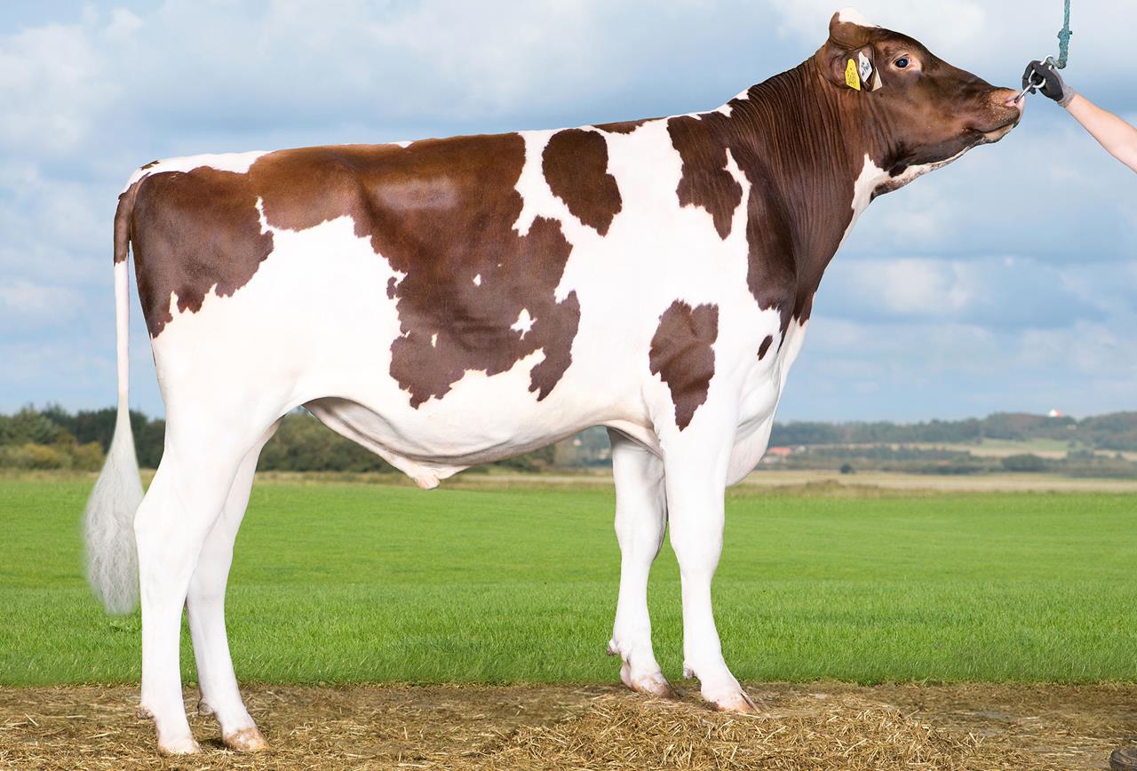 Vh Mep Red Mission Rcp Srgb Web