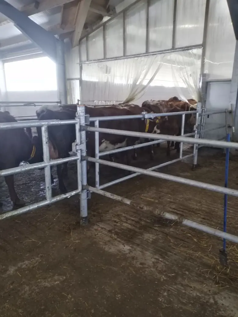 Whatsapp Image 2021 02 16 At 11.59.59 (1) (002)