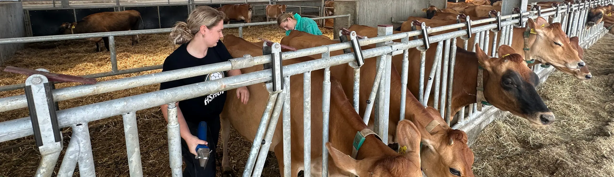 Stemningsbillede Fra Jersey Årsmøde 2024
