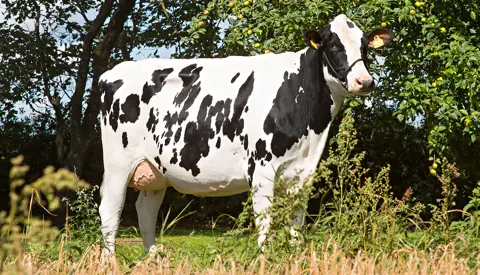 Gjensidige Vh Booth Daughter No 42405 4410 From Is Hedelund Aalestrup Scenic1 Srgb Web