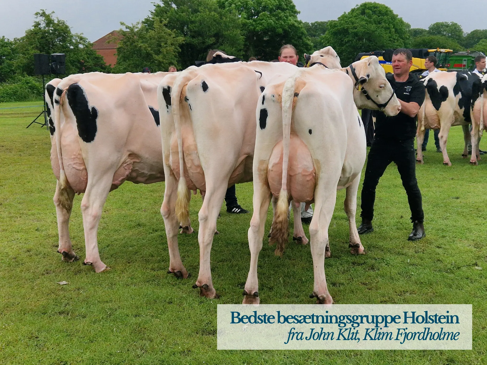 Bedste Besætningsgruppe Holstein På Thy Mors Dyrskue 2026