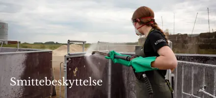 Smittebeskyttelse