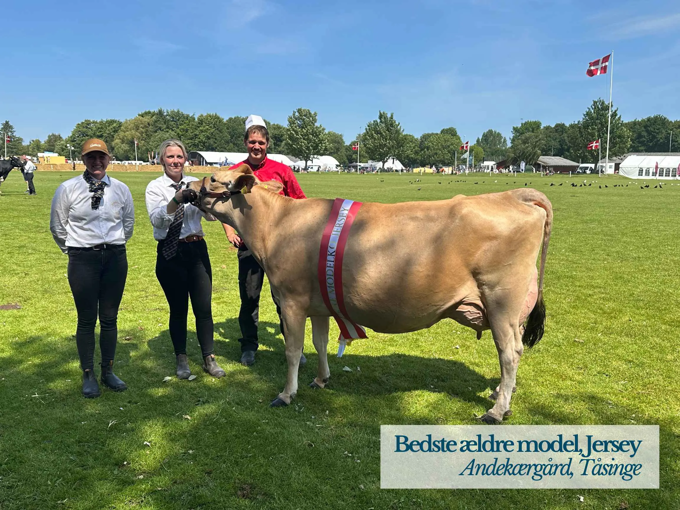 Jersey Ældre Model, Andekærgård, Tåsinge