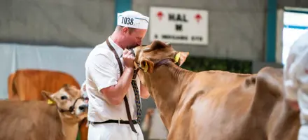 Glad Vinder Ved Landskuet 2024