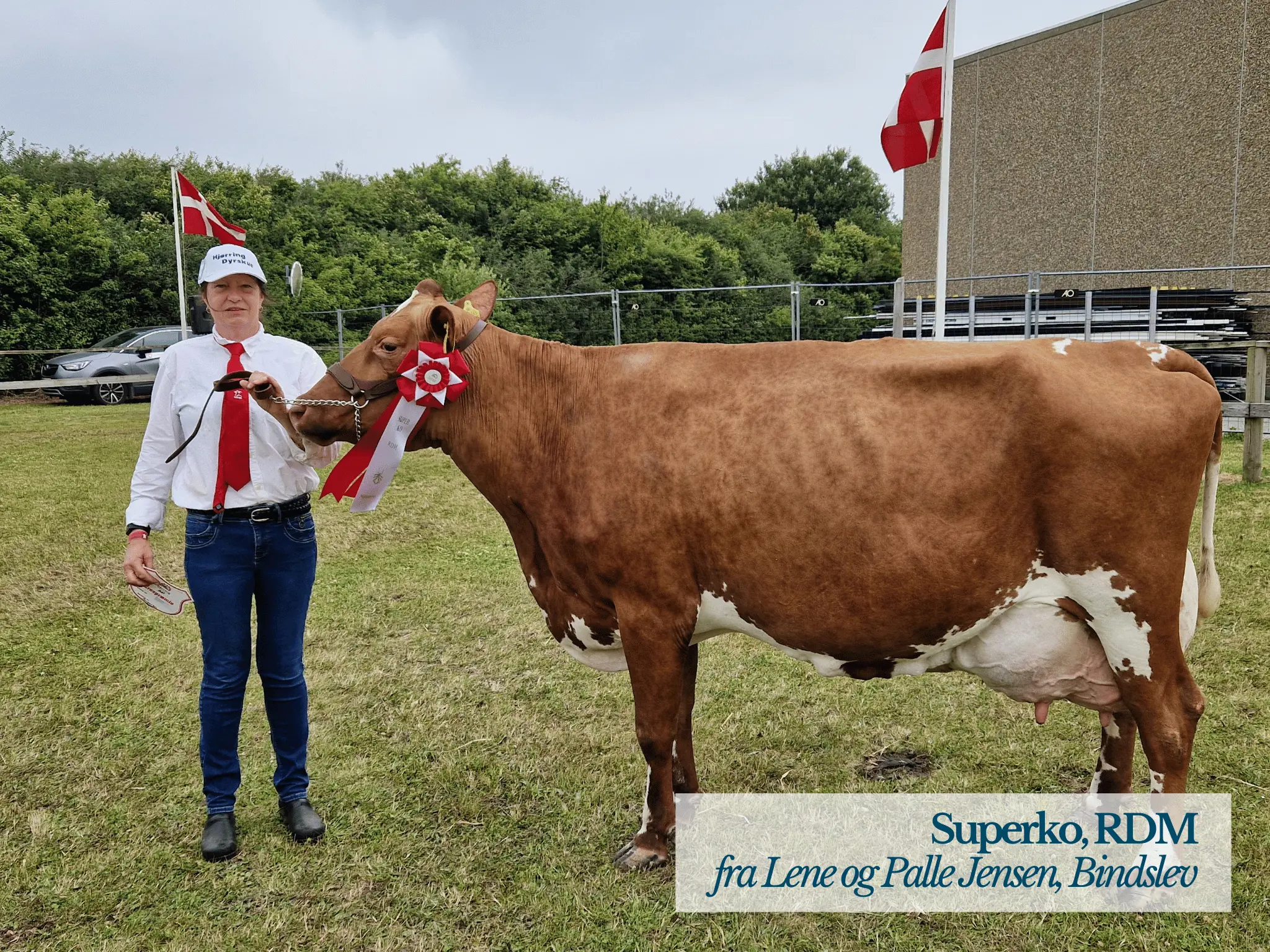 Superko RDM, Hjørring Dyrskue