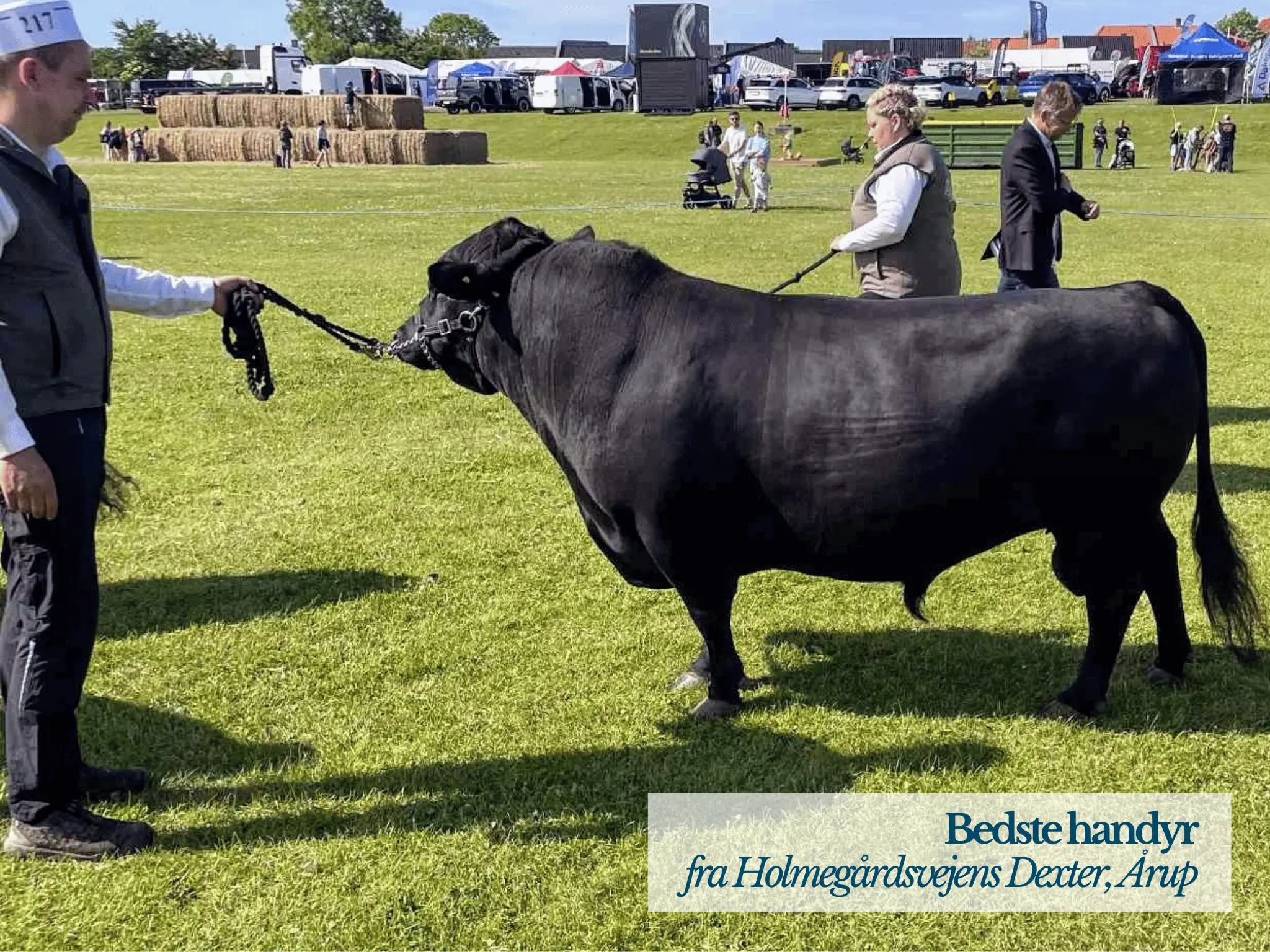 Bedste Handyr, Thy Mors Dyrskue 2025