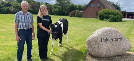 Ove Og Julie Og Kviekalv