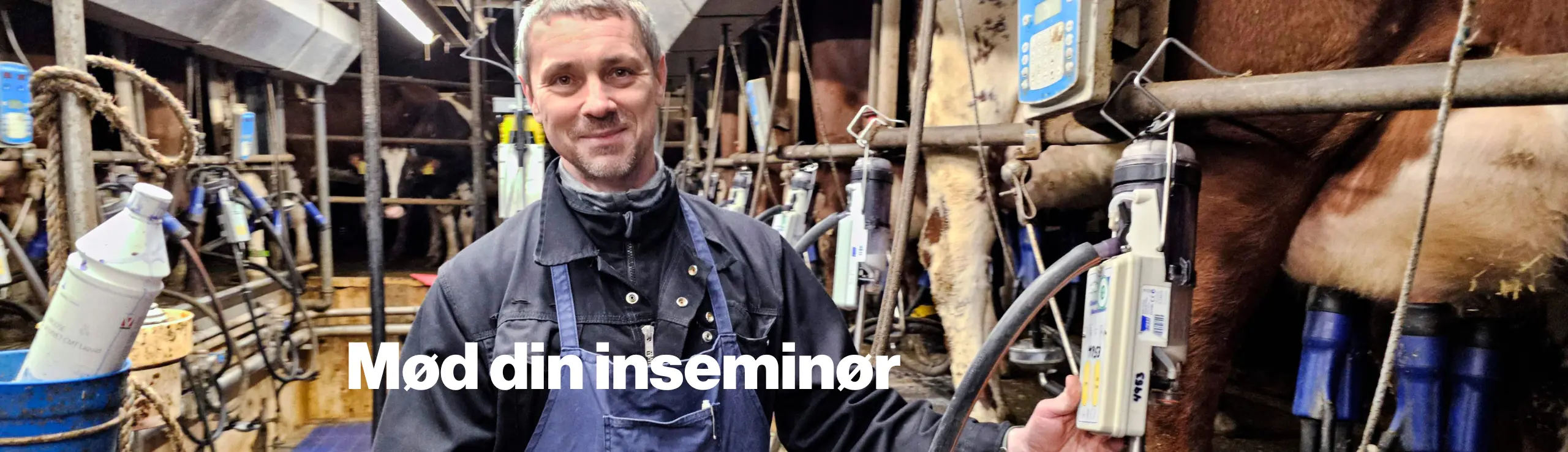 Inseminør Rafal Der Tjekker Måler