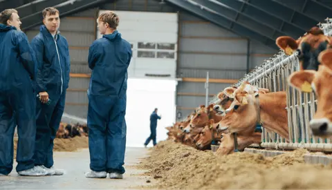 Jersey Køer Ved Besætningsbesøget Årsmøde 2025