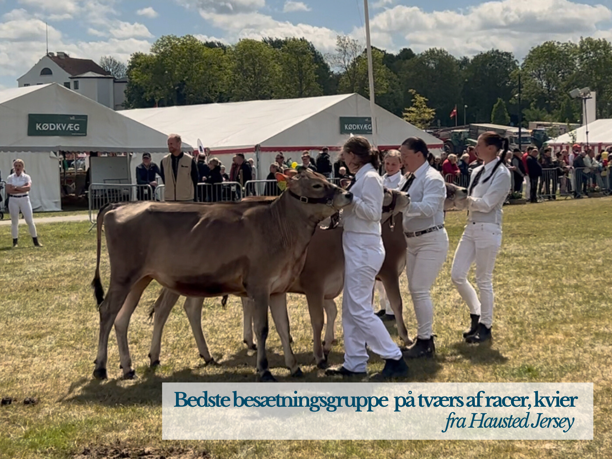 Bedste Besætningsgruppe På Tværs Af Racer, Kvier