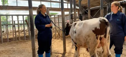 Avlsrådgivere Sara Og Kristina Med VR Emus (VR Exter)