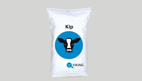 KIP Web